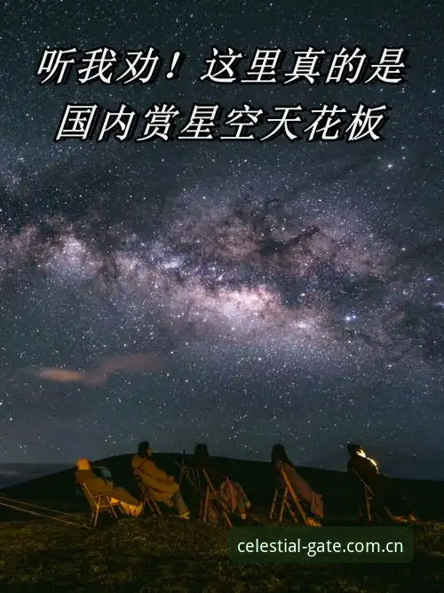 星空娱乐平台vs本地直达界2026版本：哪个才是你需要的“下一站”？