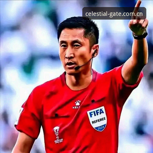 裁判马宁手机里没有社交软件，他凭什么登顶世界杯？
