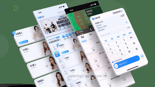 1. 问题梳理指南  
2. 反馈前必查清单  
3. 准备高效沟通  
4. 信息收集三步曲